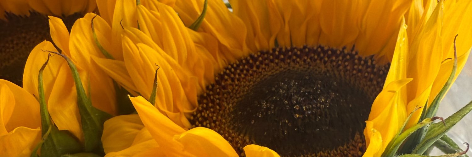notoriousgee_'s profile banner image