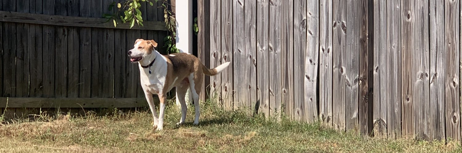 Dylan Schermbeck banner