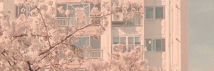 falsoniaa's profile banner image