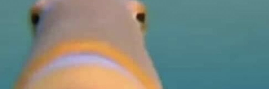 AaPickie's profile banner image