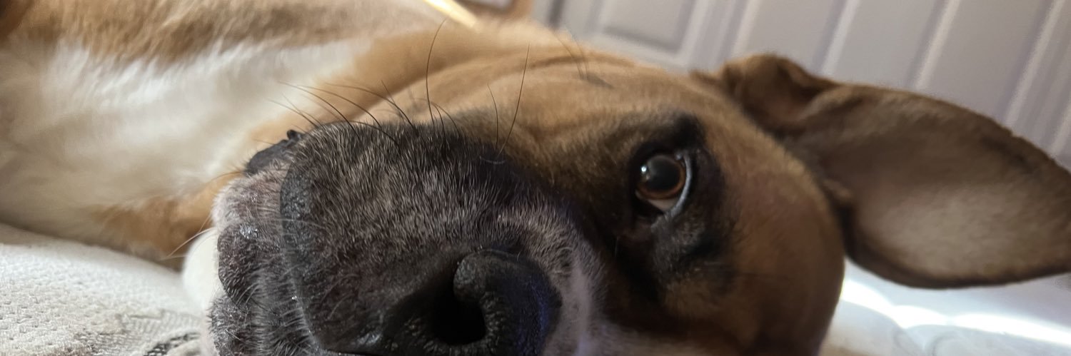 Morgan_Ryan2's profile banner image