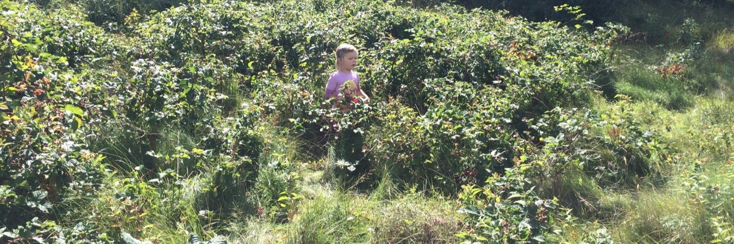 Patrik Löksa banner