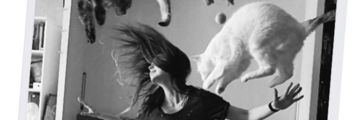 knataly_'s profile banner image