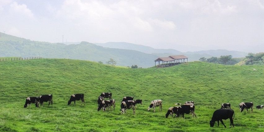 Formosan373's profile banner image