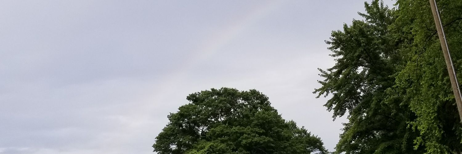shoutingjohn83's profile banner image