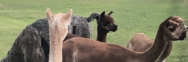 ryanposting Profile Banner