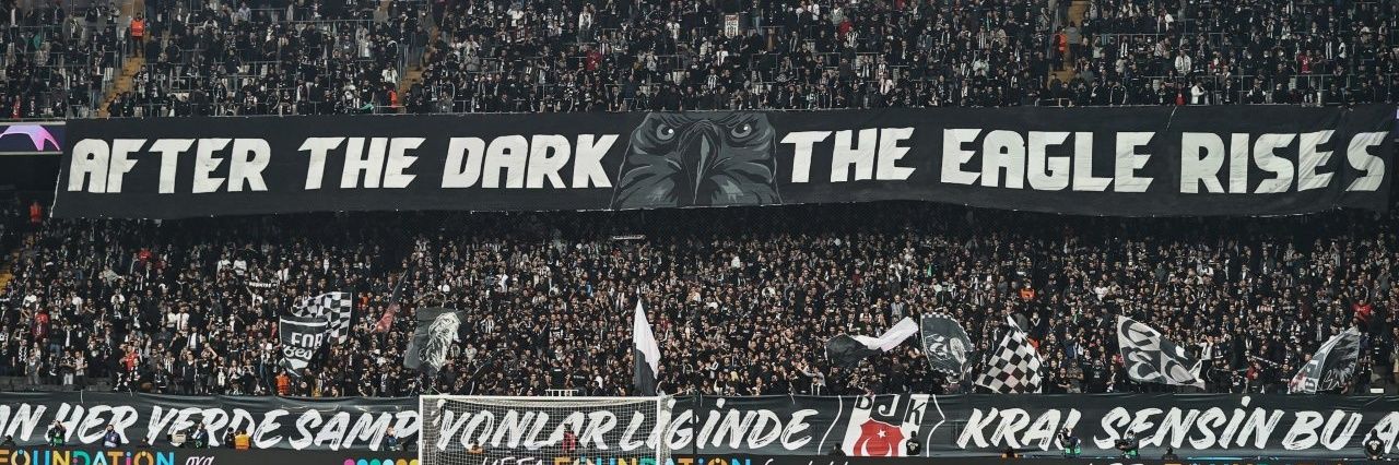MNasibli's profile banner image
