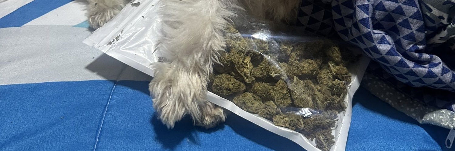 pretty latina🤪 banner