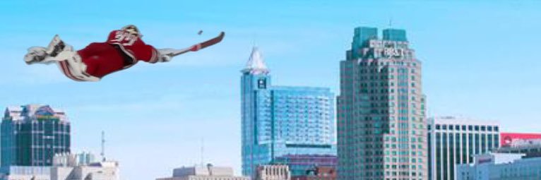 Bird banner