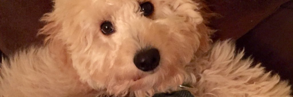 Scottysy's profile banner image