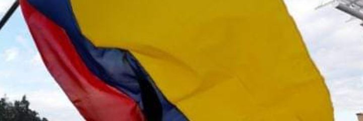 InesSip's profile banner image