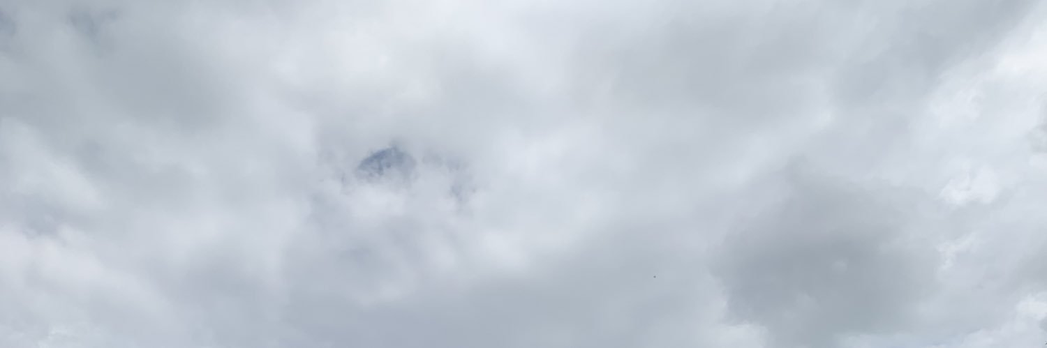 kermittas's profile banner image
