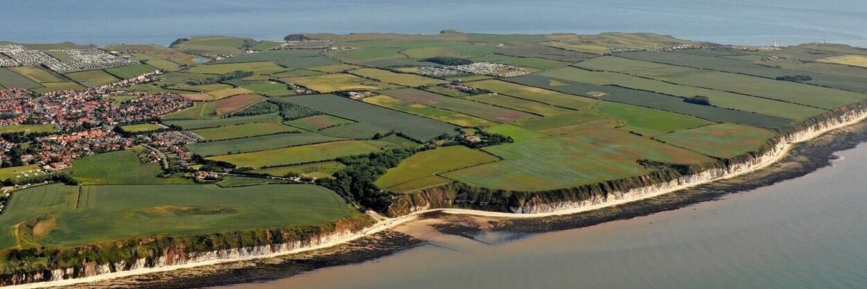 FlamboroughBird's profile banner image