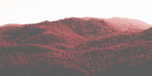 Bitch Problems ♔ banner