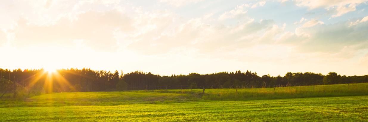 Wewill_Inc's profile banner image