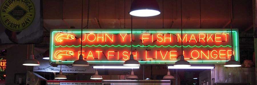 ⟡ @exyra.abs ⟡ 🐧💎 banner