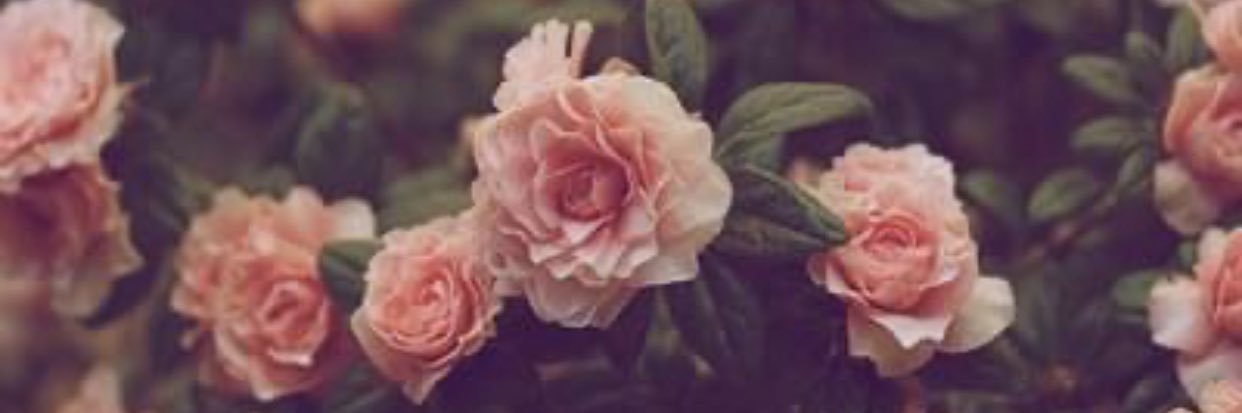 TayKayShay's profile banner image