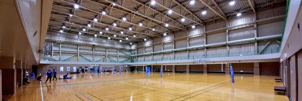 Mark Escarlote banner