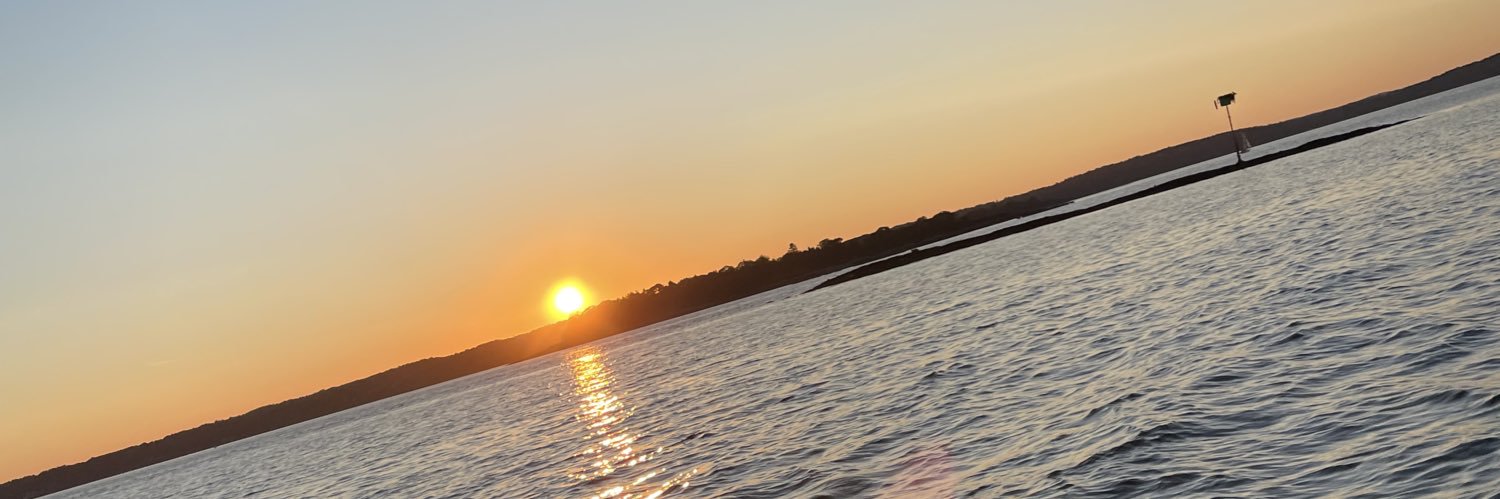 waddopi's profile banner image