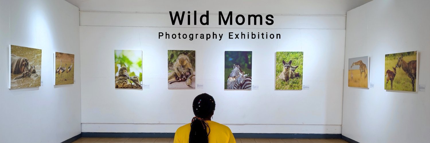 Martha Mutiso banner