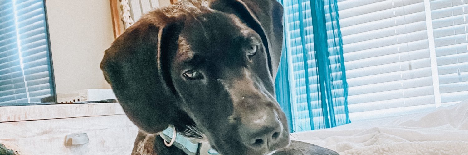 abby_branton's profile banner image