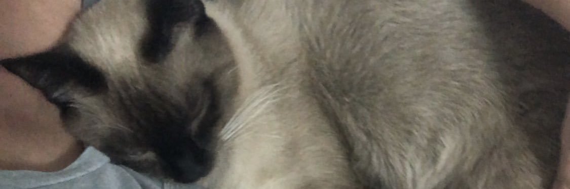 __mariaclaraf's profile banner image