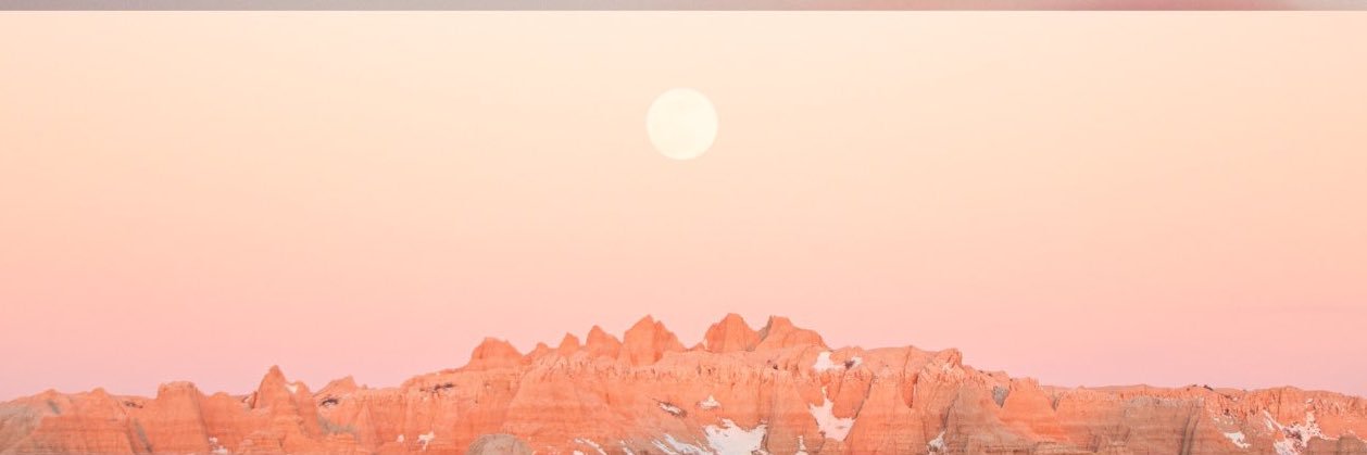 reebsxo7's profile banner image