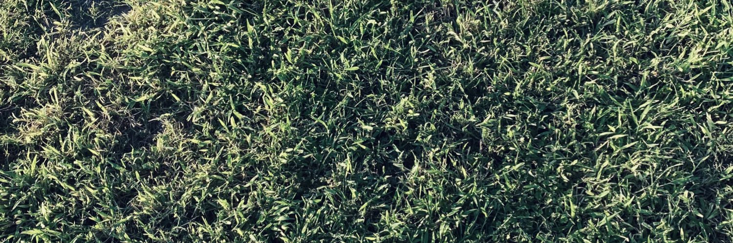 tshoemake16's profile banner image