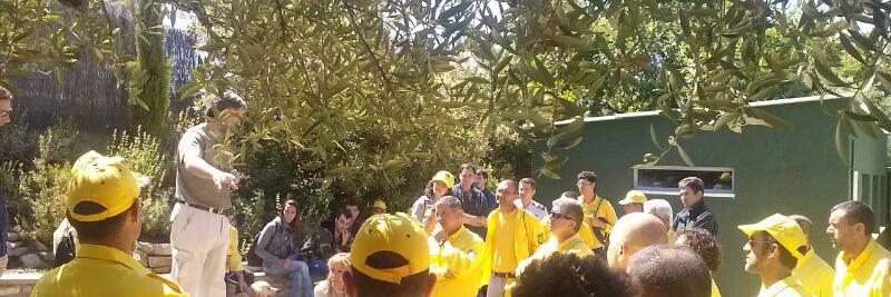 Federació ADF Anoia banner