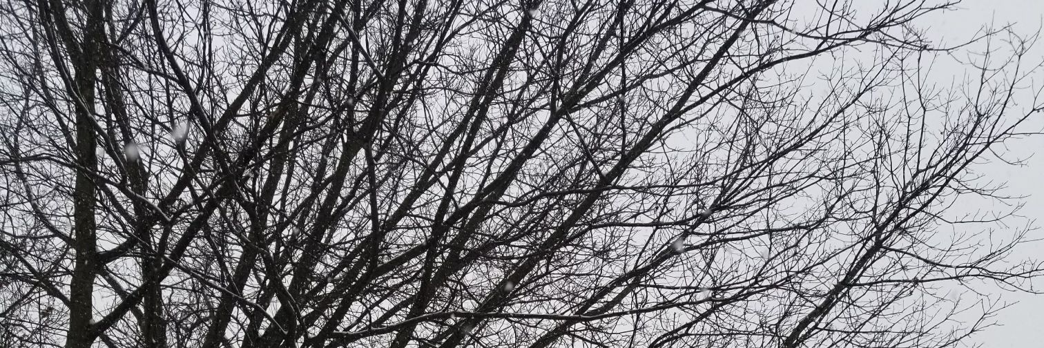 hp69hp69's profile banner image