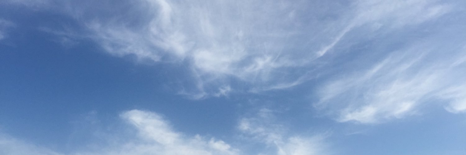 비버섯 banner