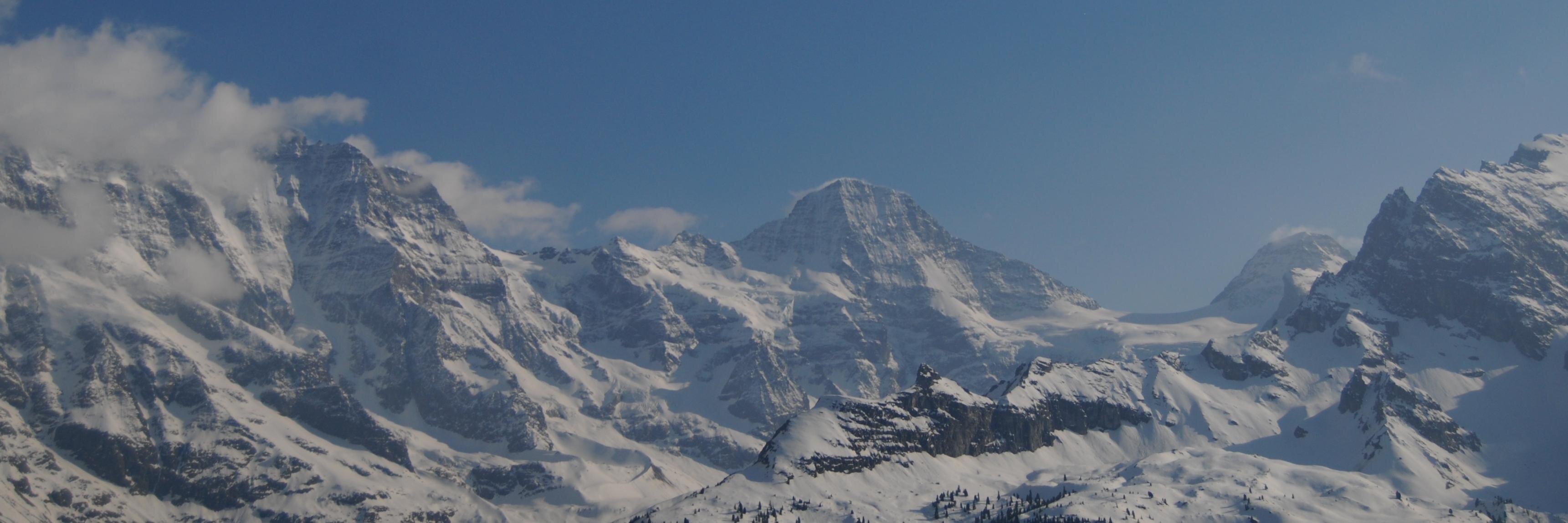 NikkiGwilliam's profile banner image