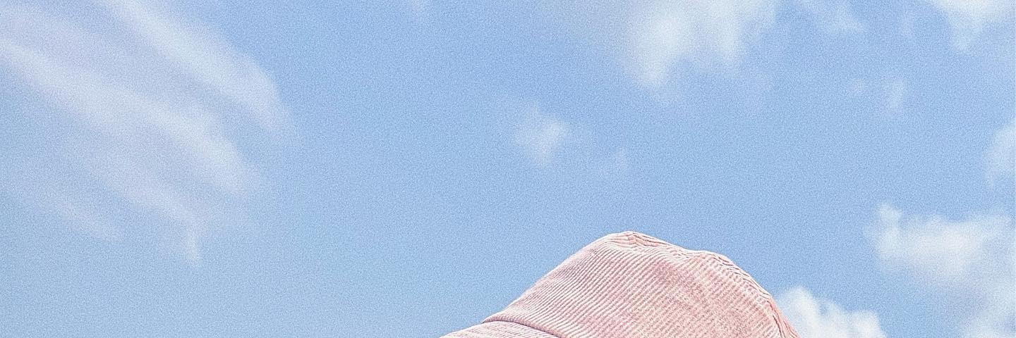 vnllarain's profile banner image