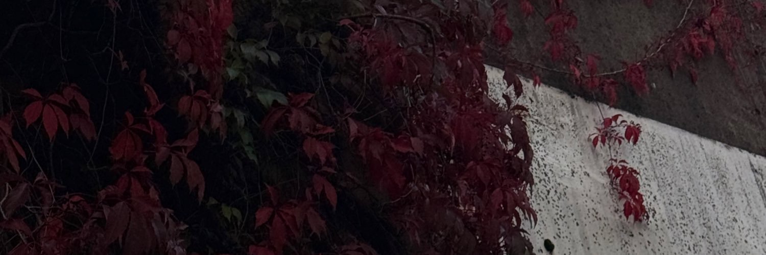 michelligan_'s profile banner image