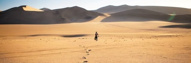 Dr. Mehmet Çelik banner