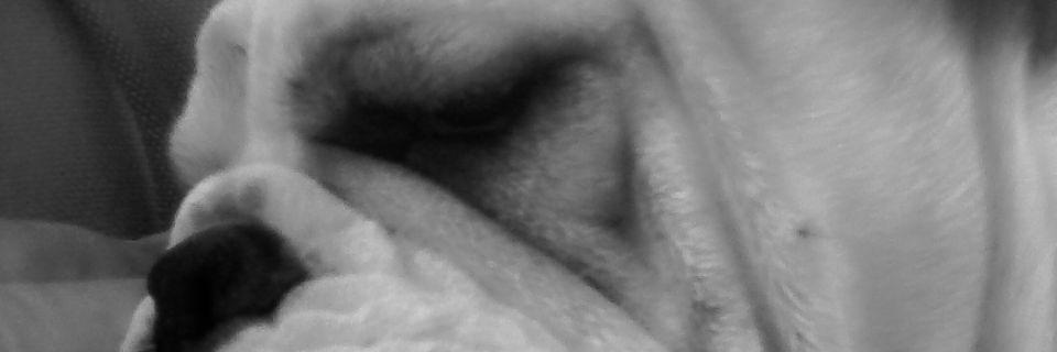 DavTabares's profile banner image