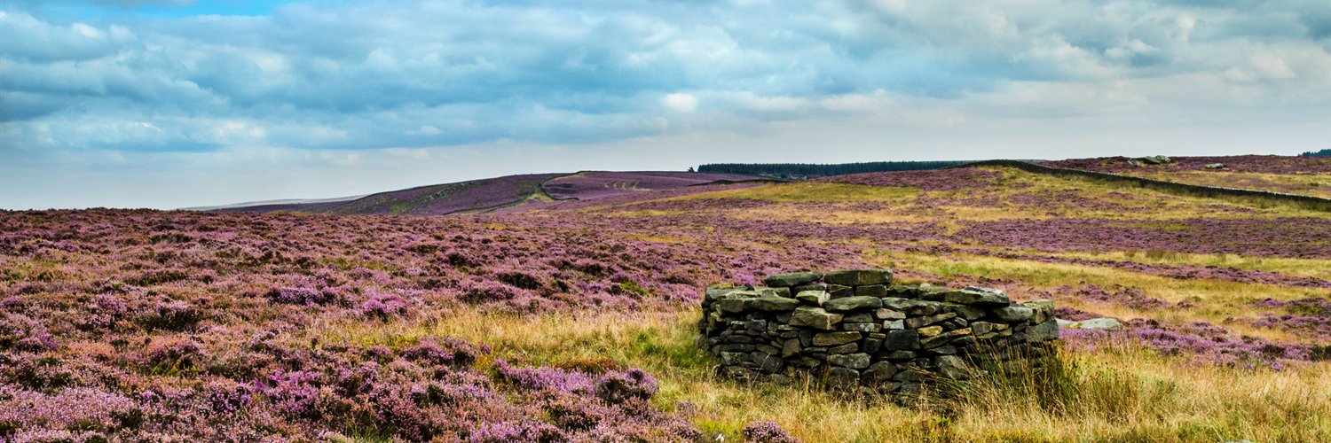 ArdMoor's profile banner image