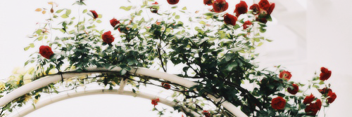JaneP_WD's profile banner image