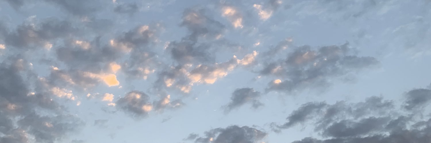 lnm_h's profile banner image
