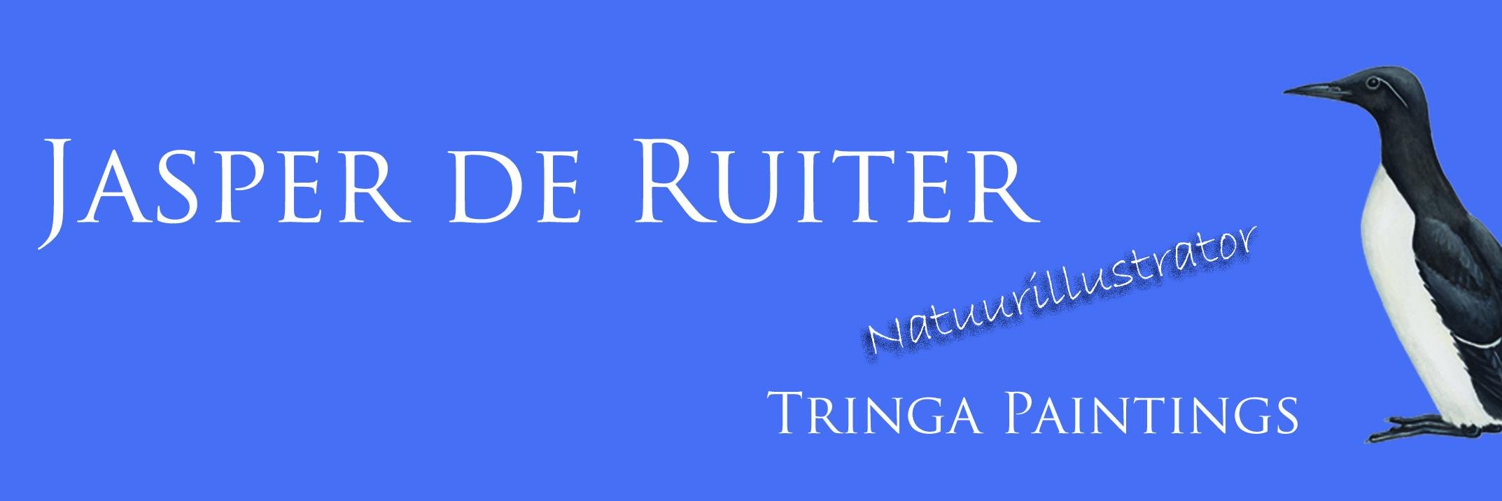 Jaspertringa's profile banner image
