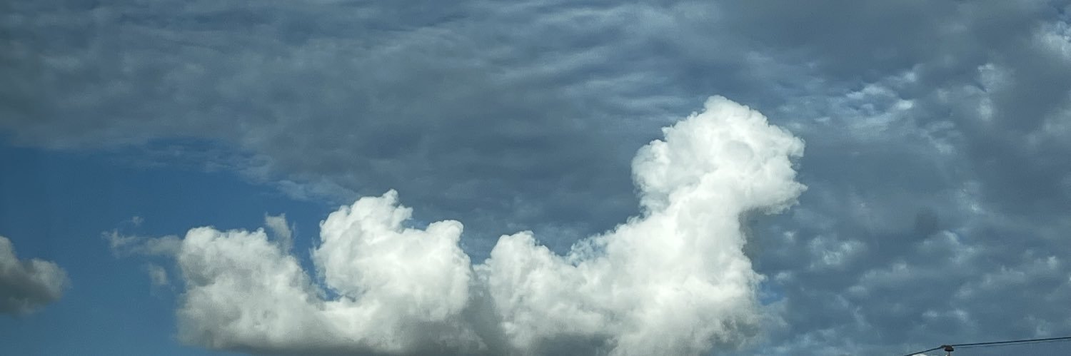 sunmiyer's profile banner image