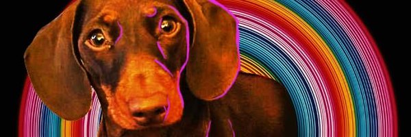 LozzaNutts Profile Banner