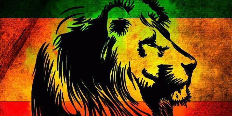 L_Dourado's profile banner image