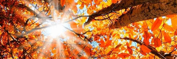 ChrissyJ86's profile banner image