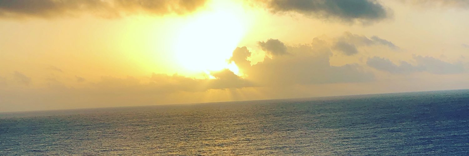AmandaLWhitley's profile banner image