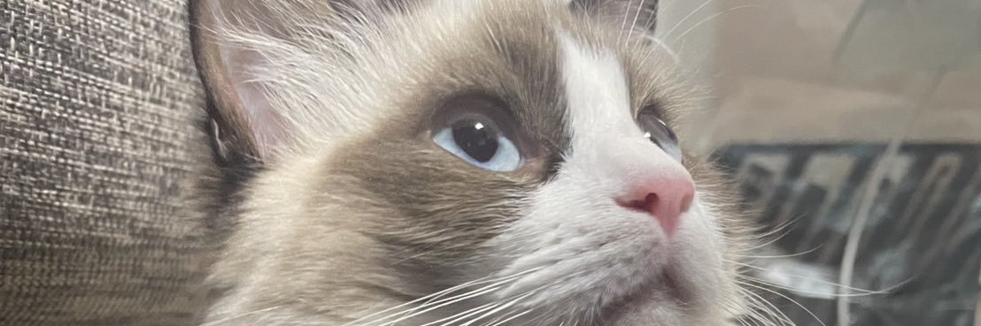 riechan555's profile banner image