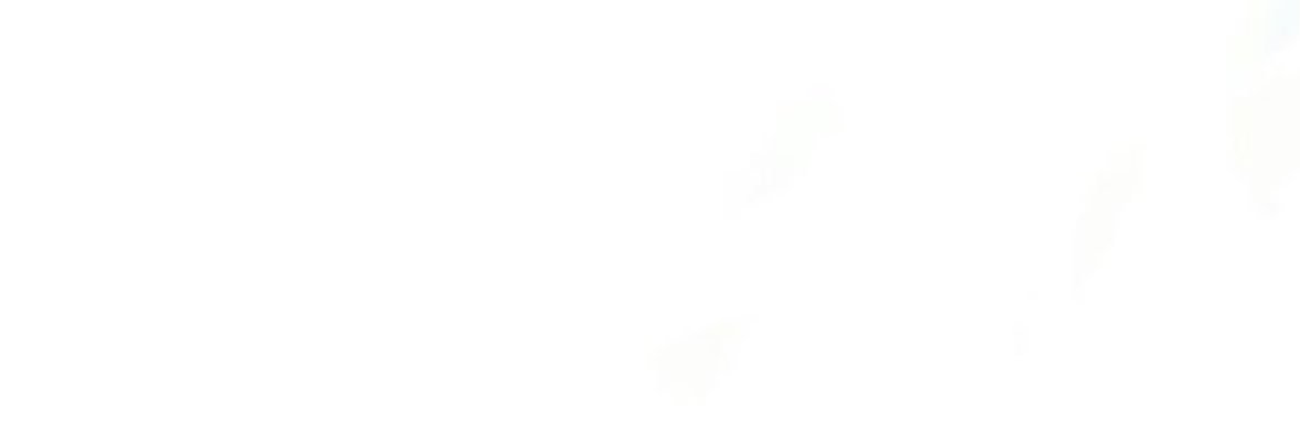 NFAlShrayfi's profile banner image