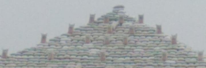 bnto55's profile banner image