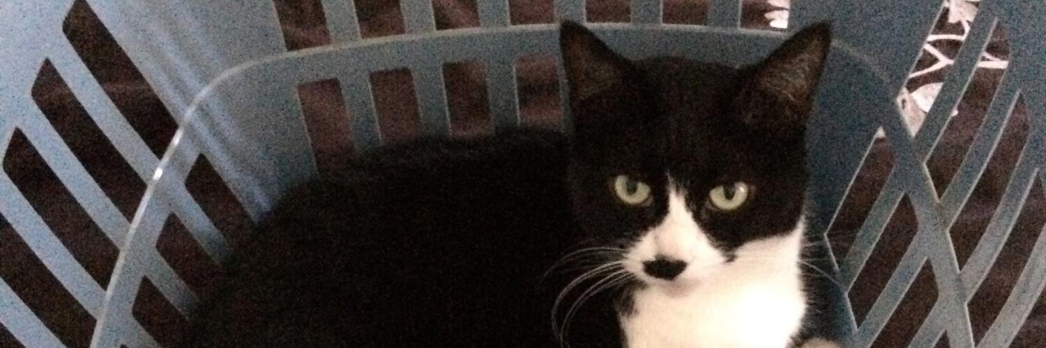 Kimothy Jones banner