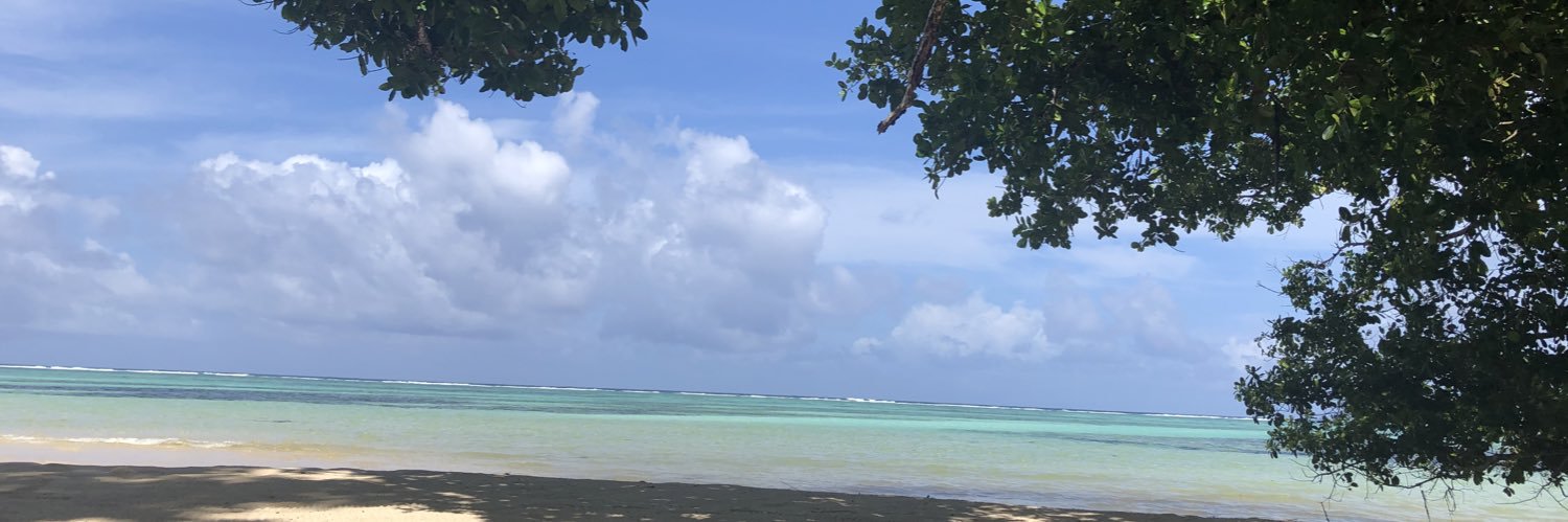 Viv Protine banner